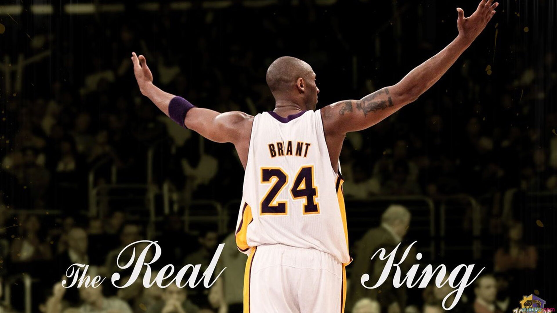 开云下载-奥运前哨战，小贾伦关键接管，广厦体系制霸开拓者启示录